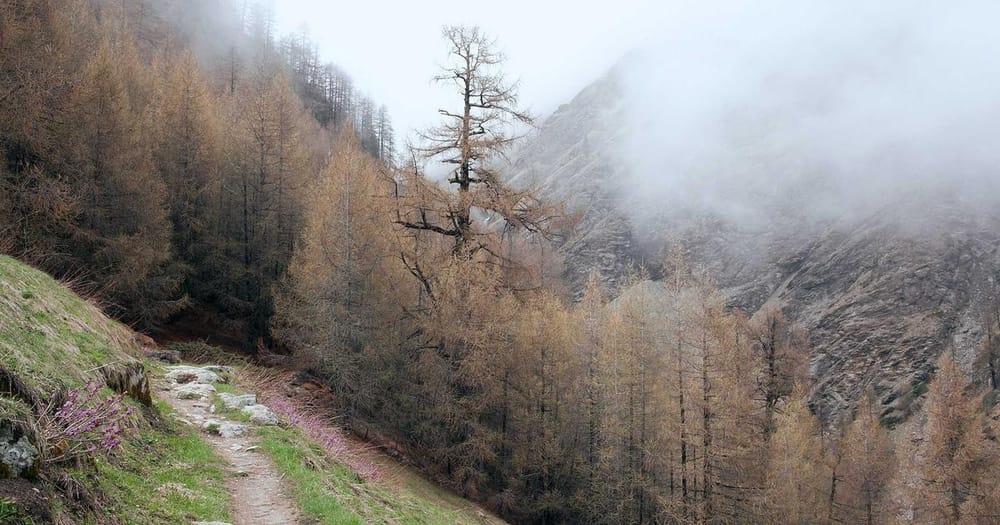 Nvidia GTC 2026: $1 Biljoen Orders, Groq 3 LPU en OpenClaw