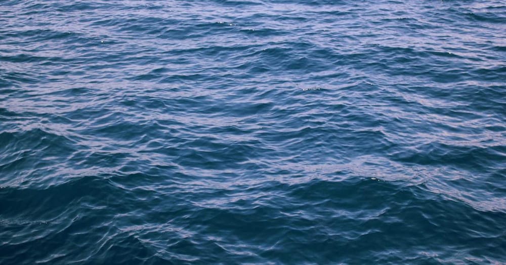 Google Gemma 4: Open Source AI Model Built for Agents